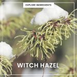 ⁦هيميش, منظف رغوي اخضر من اول كلين، 150 جرام⁩ - الصورة ⁦6⁩