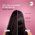 ⁦بلسم فاتيكا ناتشورالز بالبصل الأحمر، 360 مل | لنمو شعر أكثر كثافة وقوة | تغذية فروة الرأس للشعر الخفيف والمتكسر | خالٍ من البارافين والكحول والفثالات⁩ - الصورة ⁦4⁩