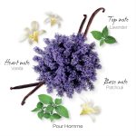 ⁦موبوسين - او دي بارفان اوريجينال هوم 100 مل (3.3 اونصة سائلة) - او دي بارفان للرجال - روائح خشبية وعطرية⁩ - الصورة ⁦4⁩