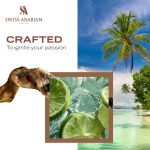 ⁦سويس اريبيان عطر اكستريت دي بارفان من سول اوف بالي، 100 مل، عطر عالي الجودة، عطر للجنسين، عطر منعش ومائي وخشبي، مزيج فاخر للنساء والرجال⁩ - الصورة ⁦5⁩