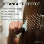 ⁦جيهنيكي فرشاة سوبر براش لفك تشابك الشعر مضادة للكهرباء الساكنة سهلة الاستخدام الرطب او الجاف ومرنة بشعيرات نايلون رائعة لجميع انواع الشعر - طويلة وسميكة ومجعدة - حاصلة على براءة اختراع ايطالية اصلية⁩ - الصورة ⁦3⁩