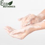 ⁦ايكو بوتانيكس شامبو سعة 30 مل بغطاء قلاب شفاف بلون اخضر/ازرق (علبة من 125 قطعة)⁩ - الصورة ⁦3⁩