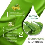 ⁦V كير لوشن الجسم سيلكي سينسيز 500 مل | مستخلصات الزيتون والصبار | لوشن مرطب للجسم للبشرة الجافة والخشنة | يغذي بعمق وينشط ويجعل بشرتك ناعمة كالحرير⁩ - الصورة ⁦5⁩