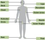 ⁦زبدة سكويرل نات مرهم مضاد للاحتكاك من اول ناتشورال - عصا توزيع - 1.7 اونصة⁩ - الصورة ⁦10⁩