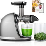 امزر شيف عصارة - عصارة بطيئة بالضغط البارد - عصارة مضغ للفواكه والخضروات الكاملة - مضغ دقيق لا حاجة للفلتر - عصارة عصير خالية من BPA مع كوبين وفرشاة - رمادي