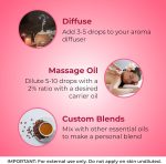 ⁦زيوت عطرية، النعنع، 1 أونصة 30 مل من جادول ناتشورالز⁩ - الصورة ⁦3⁩