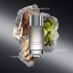 ⁦ايسي مياكي لو سيل ديسي للرجال او دي تواليت 100 مل⁩ - الصورة ⁦2⁩