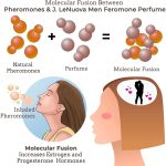 ⁦عطر فيرمون للرجال من لاشفيو، عطر فيرمون كولونيا لجذب النساء⁩ - الصورة ⁦3⁩