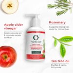 ⁦شامبو نباتي 100% من خل التفاح وشجرة الشاي وإكليل الجبل | خالي من المواد الكيميائية والكبريتات والبارابين، شامبو عضوي وطبيعي للشعر الدهني⁩ - الصورة ⁦2⁩