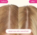 ⁦اميكا شامبو بيرك اب بلس اكستنديد كلين الجاف، 1.8 اونصة⁩ - الصورة ⁦8⁩