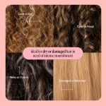 ⁦مونداي هير كير بلسم ريبير ليف ان بالكيراتين وزيت الجوجوبا وبروتين القمح وزبدة الكاكاو والارغان وزيت اللوز الحلو للشعر الجاف والتالف 150 مل⁩ - الصورة ⁦6⁩