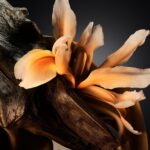 ⁦مجموعة هدايا عطر بوس بوتلد من 3 قطع للرجال من بوس⁩ - الصورة ⁦4⁩