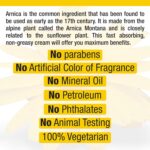 ⁦كريم ارنيكا الطبيعي المهدئ وغير الدهني وغير المعطر لتخفيف الالم من ريل ريليف، 4 اونصة (عبوة من قطعة واحدة)⁩ - الصورة ⁦3⁩