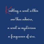 ⁦ارماف عطر برايفت كي تو ماي لايف اكستريت دي بارفان بلو 100 مل للرجال والنساء من كلوب دي نوي⁩ - الصورة ⁦4⁩