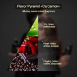 ⁦بلسم شعر احترافي "كاردامون" 2 في 1 من تاشي - بلسم معطر بزبدة الشيا والبيوتين والارز وبروتينات القمح - اصلاح وترطيب - 10.6 اونصة (300 مل)⁩ - الصورة ⁦5⁩