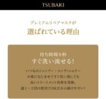 ⁦تسوباكي قناع اصلاح ممتاز، عبوة شعر، 6.3 اونصة (180 غرام) × مجموعة من قطعتين⁩ - الصورة ⁦5⁩