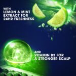 ⁦كلير شامبو ل جميع انواع الشعر - 200 مل⁩ - الصورة ⁦4⁩