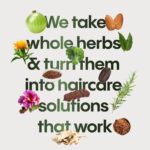 ⁦مشط خشبي لفك تشابك الشعر من ساكريد جروف | مشط باسنان عريضة | يساعد على منع التجعد | 47 غرام⁩ - الصورة ⁦7⁩