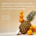 ⁦زبدة الجسم متعددة الدهون من سالتير - كريم مرطب للجسم جولدن اور غني ومغذي مع مركب سيراميد وزيت جوز الهند وزبدة الشيا ونبق البحر. ترطيب عميق للعناية بالبشرة الجافة. برطمان 10 اونصة⁩ - الصورة ⁦5⁩