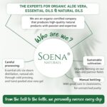 ⁦جل صبار الالوفيرا العضوي النباتي مع عصير الأوراق النقي 100٪ طبيعي ونقي مرطب للوجه والجسم من سوينا ناتشورالز جل صبار الالوفيرا العضوي للعناية بالبشرة بعد التعرض للشمس⁩ - الصورة ⁦7⁩