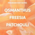 ⁦ويلا شامبو نوتري-انريش المغذي العميق للجنسين من انفيجو - شامبو 33.8 اونصة⁩ - الصورة ⁦8⁩