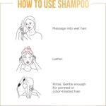 ⁦بانتين شامبو فوليوم للشعر الناعم والكثافة والجسم، امن للشعر المعالج باللون، 530 مل⁩ - الصورة ⁦7⁩