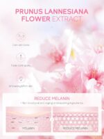 ⁦مجموعة سفر للعناية بالبشرة من جابان ساكورا لايكو مكونة من 4 قطع لتجديد البشرة بعامل حماية من الاشعة فوق البنفسجية بعامل حماية من الشمس 50+ 8 غرام وكريم مغذي للوجه 8 غرام وتونر تفتيح 20 مل ومنظف خفيف⁩ - الصورة ⁦7⁩