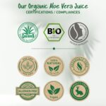 ⁦جل صبار الالوفيرا العضوي النباتي مع عصير الأوراق النقي 100٪ طبيعي ونقي مرطب للوجه والجسم من سوينا ناتشورالز جل صبار الالوفيرا العضوي للعناية بالبشرة بعد التعرض للشمس⁩ - الصورة ⁦8⁩