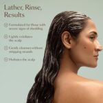 ⁦فيجا مور شامبو موازنة متطور من جرو+ | يقشر وينظف ويزيل التراكم بشكل خفيف دون تجريد | لعلامات التخفيف الشديدة| امن اللون ونباتي ولم يختبر على الحيوانات (8 اونصة سائلة)⁩ - الصورة ⁦4⁩