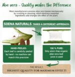 ⁦جل صبار الالوفيرا العضوي النباتي مع عصير الأوراق النقي 100٪ طبيعي ونقي مرطب للوجه والجسم من سوينا ناتشورالز جل صبار الالوفيرا العضوي للعناية بالبشرة بعد التعرض للشمس⁩ - الصورة ⁦4⁩