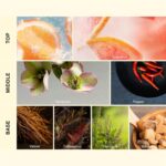 ⁦إيسنت | عبوة إعادة تعبئة زيت فاخر لموزع إنسو العطري – 100 مل من الرائحة الأيقونية مع الجريب فروت والنجيل الهندي وخشب الأرز | ارفع من فخامة مساحتك برائحة فاخرة خالدة⁩ - الصورة ⁦2⁩