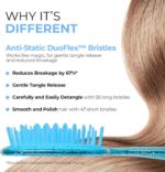 ⁦فرشاة فك تشابك الشعر من اف اتش اي هيت بدون ألم لجميع أنواع الشعر الرطب أو الجاف — شعيرات مضادة للكهرباء الساكنة من نوع DuoFlex المتينة، مقبض خفيف الوزن، فرشاة شعر مهوَّأة، أزرق الياقوت⁩ - الصورة ⁦3⁩